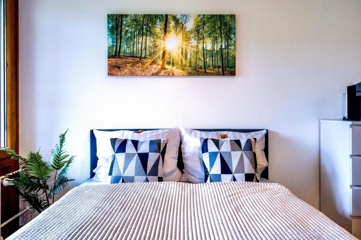 Relaxapartments Black Forest Emotion Mit Sonnenbalkon Mit Blick Auf Den Kurpark, Schnelles Internet, Naehe Triberger Wasserfaelle, Fuer Bis Zu 2 Personen Schönwalde Exterior foto